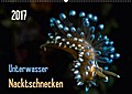 Unterwasser - Nacktschnecken 2017 (Wandkalender 2017 DIN A2 quer) - Claudia Weber-Gebert