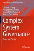 Complex System Governance