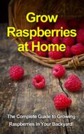 Grow Raspberries at Home