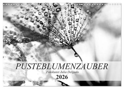 Pusteblumenzauber in schwarzweiß (Wandkalender 2026 DIN A3 quer), CALVENDO Monatskalender
