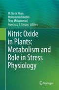 Nitric Oxide in Plants: Metabolism and Role in Str
