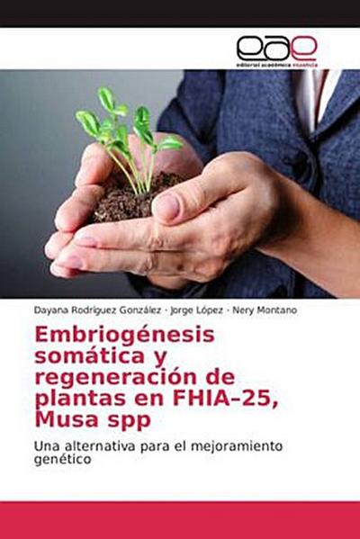 Embriogénesis somática y regeneración de plantas en FHIA-25, Musa spp
