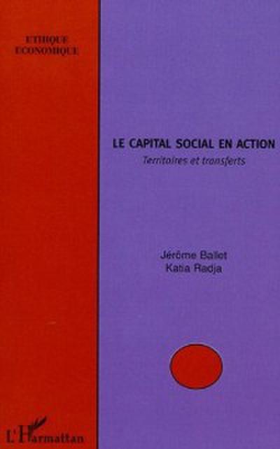 Le capital social en action
