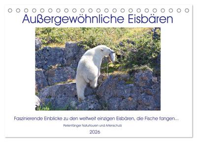 Das Leben der etwas "anderen" Eisbären! (Tischkalender 2026 DIN A5 quer), CALVENDO Monatskalender