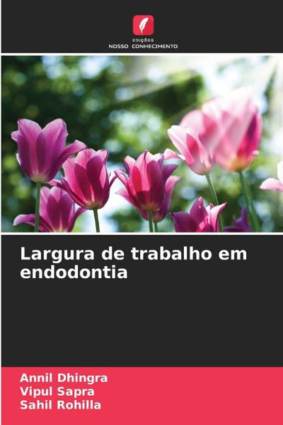 Largura de trabalho em endodontia