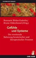 Gefühle und Systeme