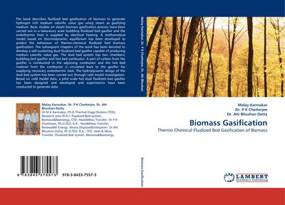 Biomass Gasification