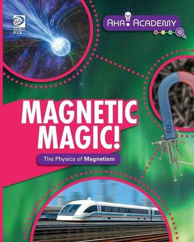 Magnetic Magic! The Physics of Magnetism