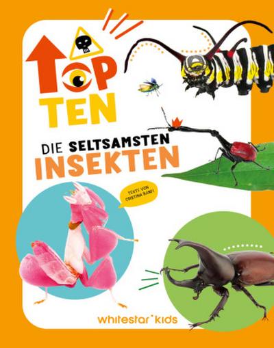 Top Ten die seltsamsten Insekten