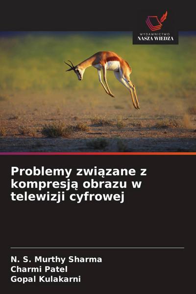 Problemy zwi¿zane z kompresj¿ obrazu w telewizji cyfrowej