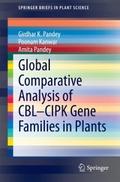 Global Comparative Analysis of CBL-CIPK Gene Famil