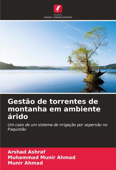 Gestão de torrentes de montanha em ambiente árido