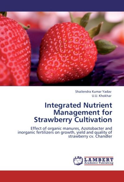 Integrated Nutrient Management for Strawberry Cultivation