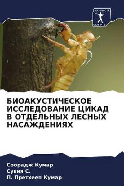 BIOAKUSTIChESKOE ISSLEDOVANIE CIKAD V OTDEL’NYH LESNYH NASAZhDENIYaH