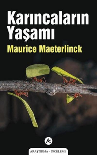 Karincalarin Yasami