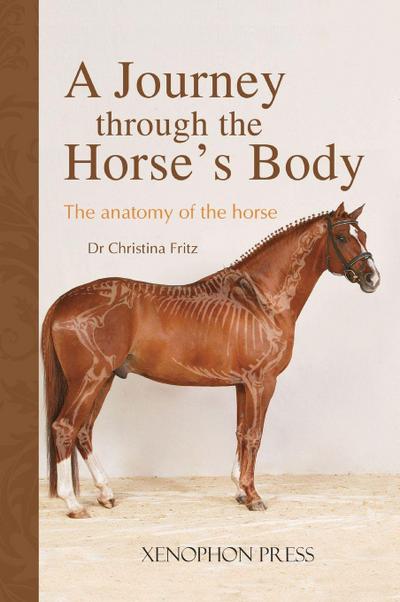 A Journey Through the Horse’s Body