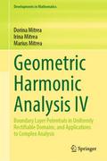 Geometric Harmonic Analysis IV