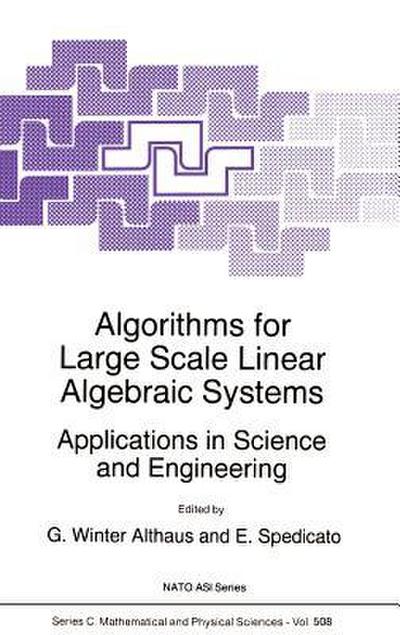 Algorithms for Large Scale Linear Algebraic Systems: