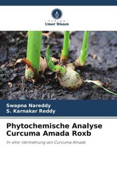 Phytochemische Analyse Curcuma Amada Roxb