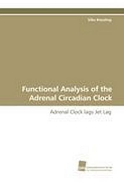 Functional Analysis of the Adrenal Circadian Clock