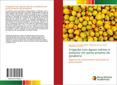 Irrigação com águas salinas e potássio em porta-enxerto de goiabeira