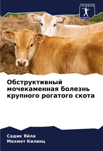 Obstruktiwnyj mochekamennaq bolezn’ krupnogo rogatogo skota