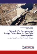 Seismic Performance of Large Dams Due to Far-Field