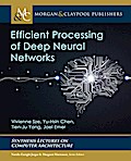 Efficient Processing of Deep Neural Networks