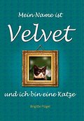 Mein Name ist Velvet und ich bin eine Katze