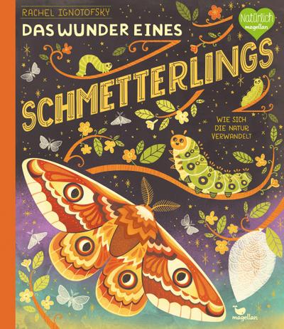 Das Wunder eines Schmetterlings - Wie sich die Natur verwandelt