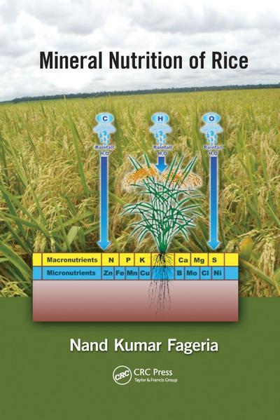Mineral Nutrition of Rice