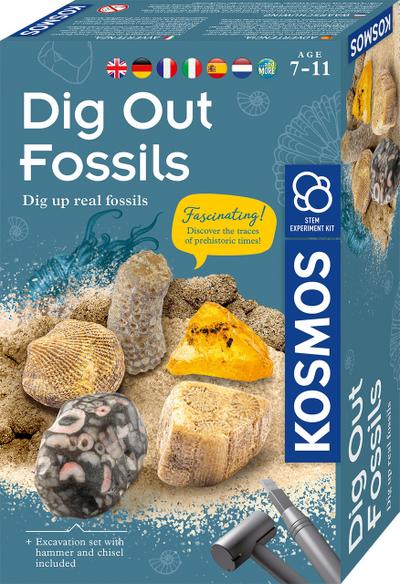 Dig Out Fossils/Fossilien