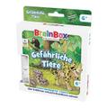 BrainBox - Gefährliche Tiere