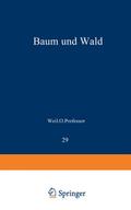 Baum und Wald