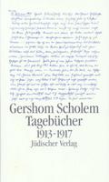 Tagebücher nebst Aufsätzen und Entwürfen bis 1923