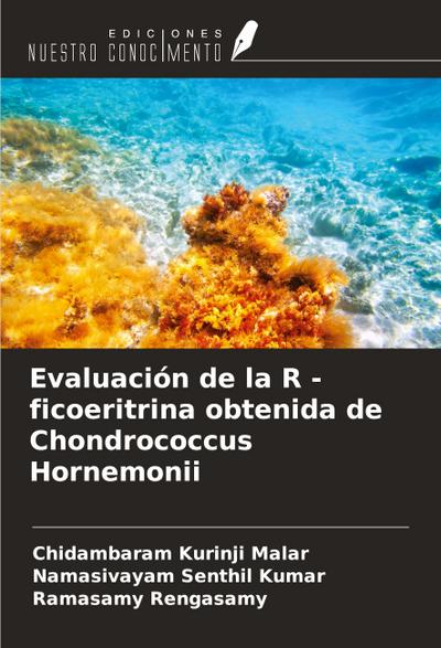 Evaluación de la R - ficoeritrina obtenida de Chondrococcus Hornemonii