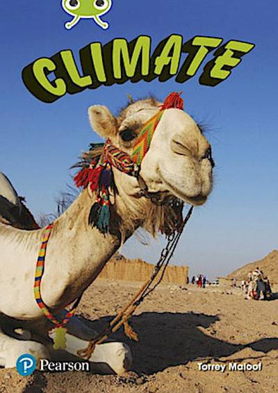 Bug Club Independent Non Fiction Year Two Lime B Plus Climate