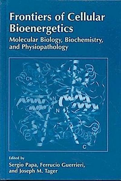 Frontiers of Cellular Bioenergetics