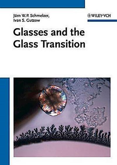 Glasses and the Glass Transition