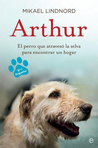 Arthur : el perro que atravesó la jungla para encontrar un hogar