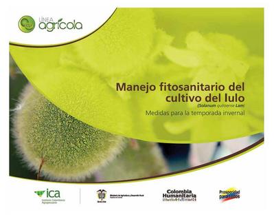 Manejo fitosanitario del cultivo del lulo (Medidas para la temporada invernal