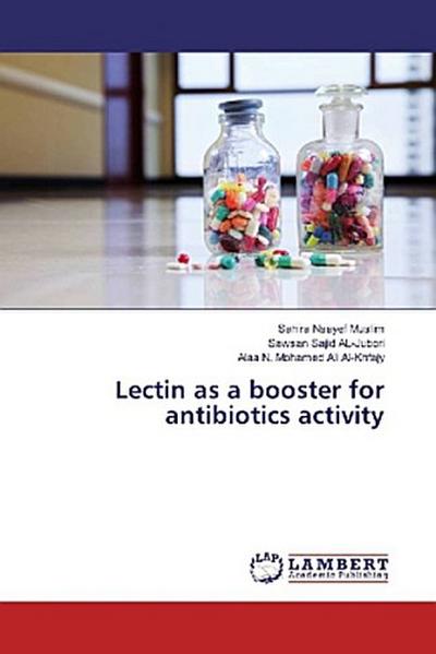 Lectin as a booster for antibiotics activity