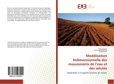 Modélisation bidimensionnelle des mouvements de l’eau et des solutés