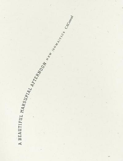 A Beautiful Marsupial Afternoon