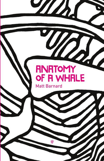 Anatomy of a Whale