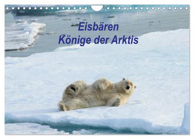 Eisbären - Könige der Arktis (Wandkalender 2024 DIN A4 quer), CALVENDO Monatskalender