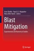 Blast Mitigation