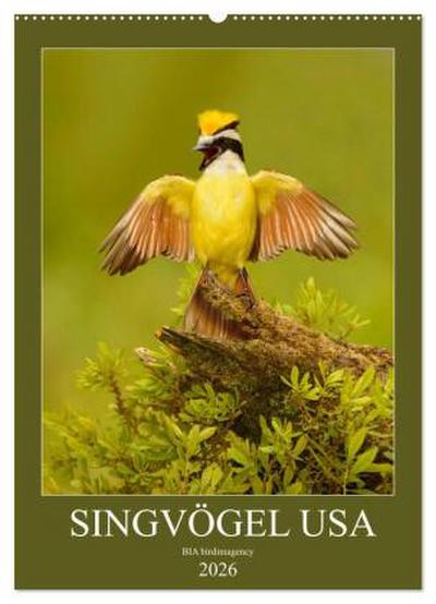 Singvögel USA (Wandkalender 2026 DIN A2 hoch), CALVENDO Monatskalender