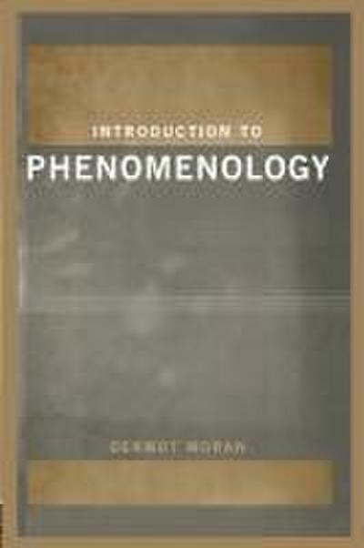 Introduction to Phenomenology
