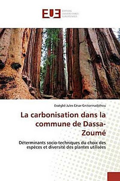 La carbonisation dans la commune de Dassa-Zoumé